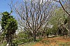 3574.jpg 3574.jpg