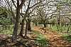 3576.jpg 3576.jpg