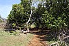 3579.jpg 3579.jpg