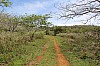 3581.jpg 3581.jpg