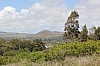 3586.jpg 3586.jpg