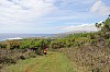 3590.jpg 3590.jpg