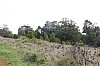 3603.jpg 3603.jpg