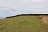 3637.jpg 3637.jpg