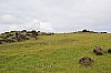 3651.jpg 3651.jpg