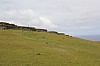 3655.jpg 3655.jpg