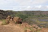 3685.jpg 3685.jpg