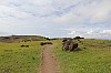 3699.jpg 3699.jpg