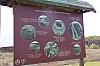 3707.jpg 3707.jpg