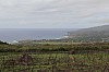 3718.jpg 3718.jpg