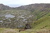 3721.jpg 3721.jpg