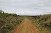 3739.jpg 3739.jpg
