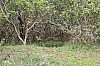 3742.jpg 3742.jpg