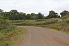 3743.jpg 3743.jpg