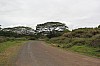 3749.jpg 3749.jpg