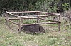 3750.jpg 3750.jpg