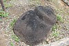 3751.jpg 3751.jpg