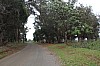 3752.jpg 3752.jpg