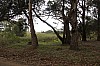3754.jpg 3754.jpg