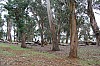 3755.jpg 3755.jpg