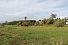 3785.jpg 3785.jpg