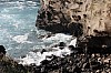 3827.jpg 3827.jpg
