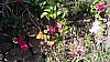 20171103_004942.jpg 20171103_004942.jpg
