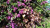20171103_005009.jpg 20171103_005009.jpg