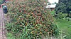20171105_182855.jpg 20171105_182855.jpg
