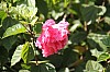 4659.jpg 4659.jpg