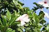 4678.jpg 4678.jpg