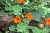 5171.jpg 5171.jpg