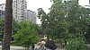 20171106_121826.jpg 20171106_121826.jpg