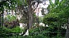 20171106_123317.jpg 20171106_123317.jpg
