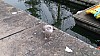 20171114_145453.jpg 20171114_145453.jpg