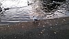 20171114_160558.jpg 20171114_160558.jpg