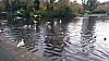 20171114_160603.jpg 20171114_160603.jpg