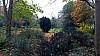 20171114_163032.jpg 20171114_163032.jpg