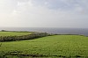 1730.jpg 1730.jpg