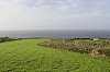 1738.jpg 1738.jpg