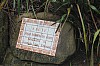 2156.jpg 2156.jpg