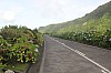 2172.jpg 2172.jpg