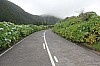 2174.jpg 2174.jpg