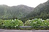 2188.jpg 2188.jpg