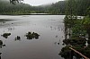 2260.jpg 2260.jpg