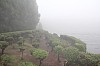 2312.jpg 2312.jpg