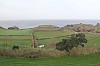 2392.jpg 2392.jpg