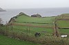 2410.jpg 2410.jpg