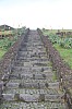 2462.jpg 2462.jpg
