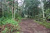 2612.jpg 2612.jpg